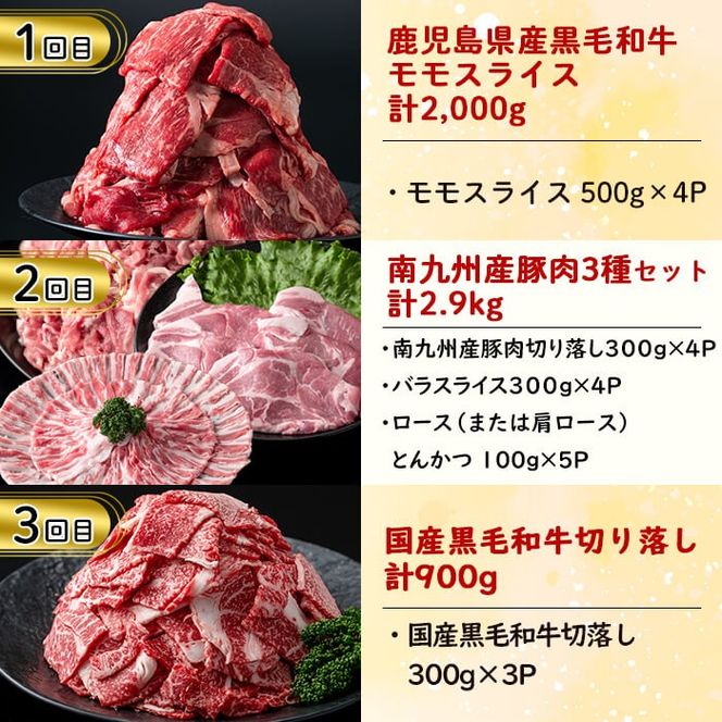 【定期便・全6回】お肉のお楽しみ定期便 総量9.6kg超! t0121-001