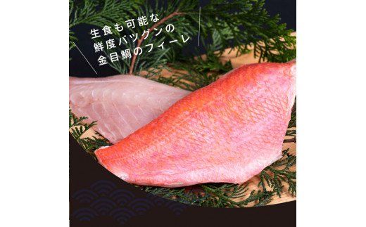 【CF-R7hbk】KYF109　数量限定　海鮮金目鯛のフィーレ600g＜高知市共通返礼品＞