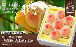 桃 2026年 先行予約 白桃 晩生種 大玉 約2.2kg 6～7玉 もも モモ 岡山県産 国産 フルーツ 果物 ギフト [№5735-0883]