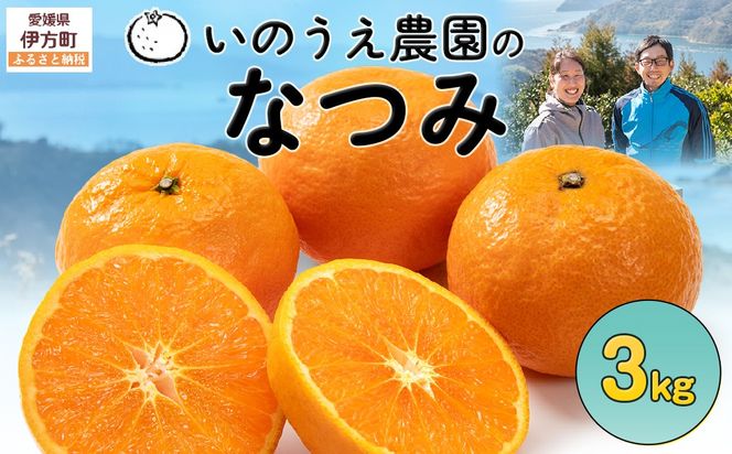【先行予約】いのうえ農園のなつみ 3kg ※離島への配送不可 (※2027年5月上旬頃より順次発送) IKTAI001