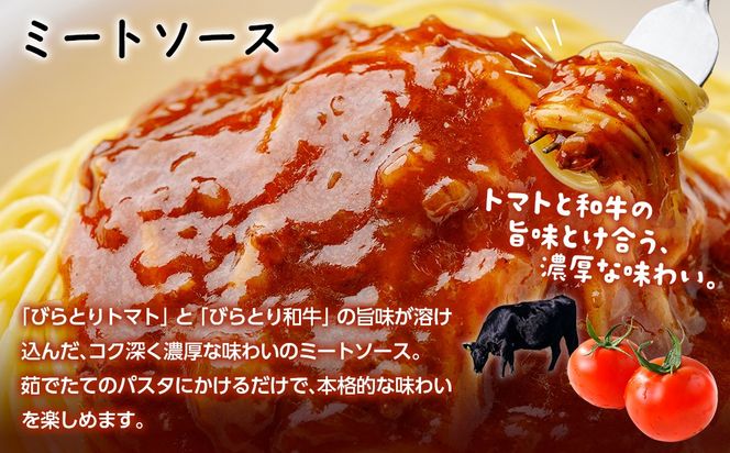 びらとり和牛カレー中辛・びらとりトマトカレー・ミートソースセット（各2箱） BRTH033