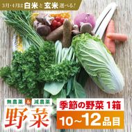 身体が喜ぶ季節の野菜 10～12品目(3月、4月は米 5kg)｜米 お米 こめ 玄米 野菜 野菜セット 栽培期間農薬不使用 茨城県共通返礼品 共通返礼品 茨城県 潮来市 行方市(BI-8)
