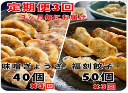 【定期便全3回】3ヶ月に1回お届け 居酒屋のおかあちゃん手作り “パリパリひと口ぎょうざ”と“もちもち餃子”コラボセット 合計90個 H136-064