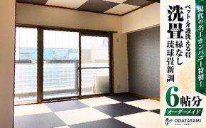 現代の名工カンパニー特製！ペット・介護洗える畳『洗畳』縁無琉球畳新調6帖サイズ（畳半帖サイズ12枚）　K348-014