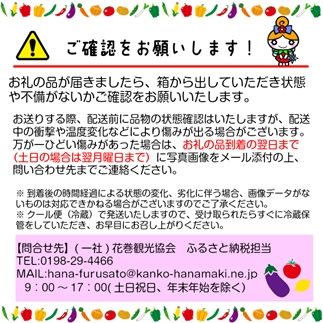【定期便12ヶ月】イーハトーヴ野菜A お試しセット6品～ 【295】