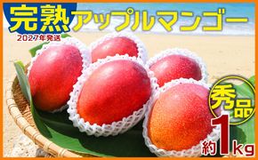 【2027年発送】農園一番人気の完熟アップルマンゴー秀品・約1kg農園から直送！