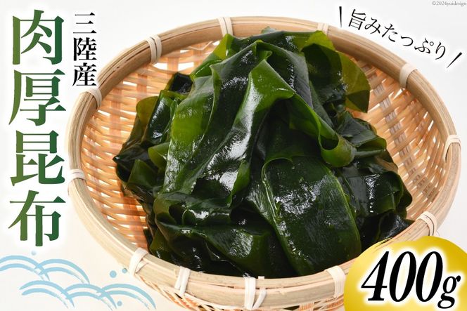 y{錧CszOY  z 400g [쑺CY {錧 Cs 20564661] CY Ru ώ ϕ  ܂ ł ϕ ς o` C  퉷