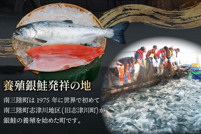 訳あり 三陸産 銀鮭 切身 約2.2kg [阿部長商店 宮城県 南三陸町 m304amh530007] 魚介類 魚 鮭 海鮮 さけ サケ 鮭切身 シャケ 切り身 訳アリ おかず 弁当 サーモン 銀鮭切り身 国産 無塩 規格外 無塩鮭 不揃い 冷凍 家庭用 わけあり