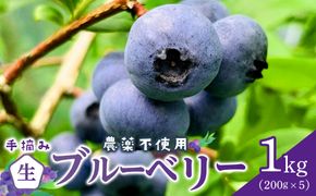 【農薬不使用】 手摘み生ブルーベリー 1kg 142069_JJ002