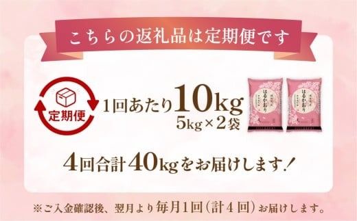 【1ヶ月毎4回定期便】 はるかおり 10kg 計40kg ／ 米 コメ お米 ライス ご飯 ごはん 飯 食品 精米 定期便 常温 福岡県 香春町
