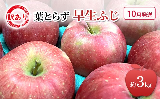 【平均糖度12度以上】10月発送 家庭用 訳あり 早生ふじ 約 3kg りんご リンゴ 林檎 果物 フルーツ わけあり 青森