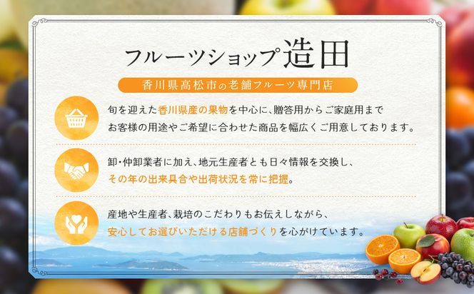 ≪ご褒美ふるーつ≫「小原紅早生みかん」約3kg【2026年12月以降お届け】 372013_MD013