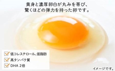 たまごかけご飯 セット ★ 卵 10個 / お米 5kg / たまごかけ ご飯 専用 醤油 《糸島》【株式会社おおはまファーム】 [AKH010]