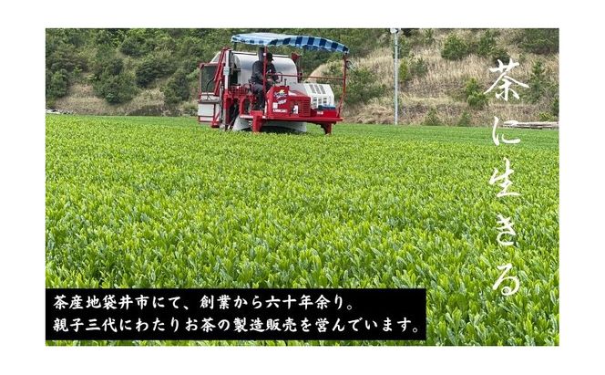 旬の深蒸し新茶飲みくらべ