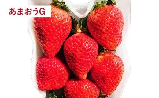 【予約受付 ・ 3回定期便】 あまおう 満喫セット （フレッシュあまおう ・ あまおうジェラート ・ 冷凍あまおう） 【2026年3月上旬～8月発送予定】 苺 いちご 果物 果実 フルーツ ジェラート セット 国産 九州 福岡県 香春町 冷蔵 冷凍