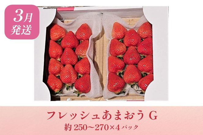 いちご あまおう 満喫セット 3回 定期便 [THE FARM_strawberry 福岡県 宇美町 um40azo780015] 苺 イチゴ 冷凍いちご 冷凍あまおう 甘い あまい アイス ジェラート シャーベット フルーツ 果物
