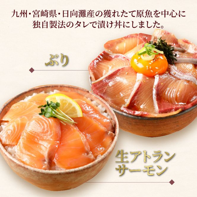 【冷凍】活〆日向灘ぶりと生アトランサーモンの漬け丼2種食べ比べセット110g×8袋 N019-YA949