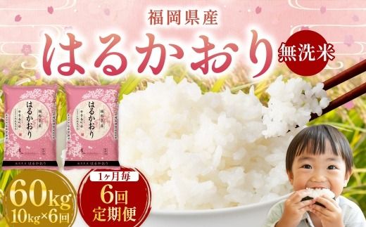 【 1ヶ月毎6回定期便 】 【 無洗米 】 はるかおり 10kg （ 5kg × 2袋 ） 計60kg お米 米 こめ コメ 白米 白飯 飯 ご飯 おにぎり 和食 国産 福岡県産 定期 定期配送