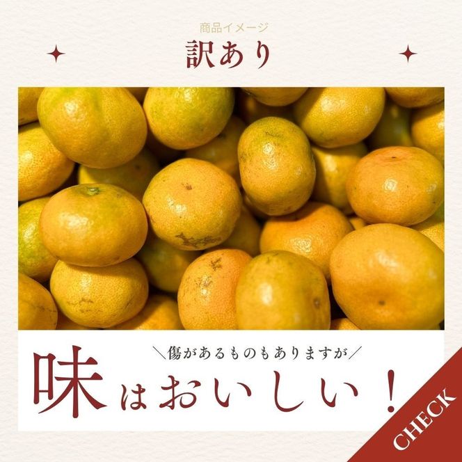【ふるさと納税】有田みかん 極早生 2.6kg（箱込み3kg） 訳あり S～Lサイズおまかせ  【2026年11月発送】 柑橘 フルーツ みかん 産地直送 お取り寄せ 送料無料  FA01