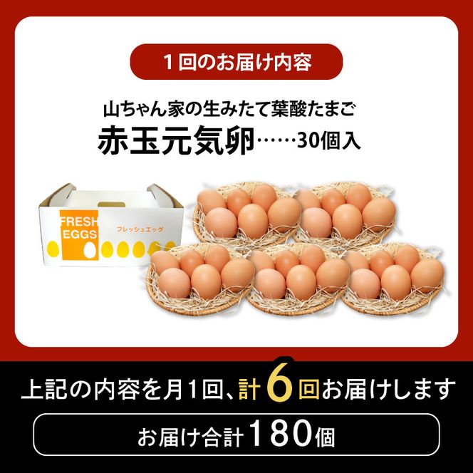 【6ヶ月定期便】【山ちゃん家の生みたて葉酸たまご】赤玉元気卵（30個入り）［132Y06-T］
