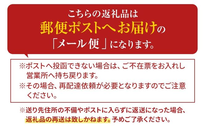 辛子高菜 240g×4パック 山賊の高菜 からし高菜 メール便 ポッキリ お米に合う ご飯のお供 おつまみ 国産 無添加 お取り寄せ 福岡 お土産 九州 グルメ 福岡県