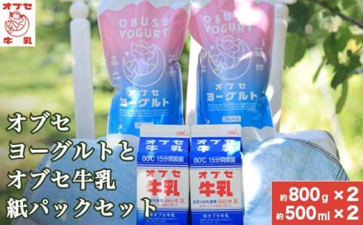 オブセヨーグルト (プレーン) 2個とオブセ牛乳 500ml 紙パック 2本 セット［オブセ牛乳］ 牛乳 ミルク 生乳 ヨーグルト 乳製品 食品  お取り寄せ グルメ 生乳100% 朝食 スイーツ おやつ 冷蔵 長野県小布施町産［G-43］