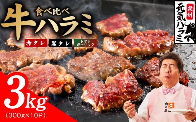 030D280 【3種食べ比べ】牛ハラミ肉 3kg（300g×10P）【牛肉 はらみ 小分け 焼肉 お弁当 BBQ 訳あり ワケアリ わけあり サイズ不揃い 規格外 TVで話題】