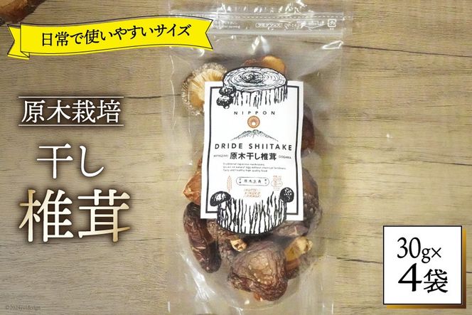 しいたけ 乾燥 ひとくち どんこ 30g 4袋 [HUTTE 宮崎県 美郷町 31ao0046] ふるさと納税 小分け シイタケ 有機JAS認証 乾燥椎茸 乾燥しいたけ 乾燥シイタケ 原木 原木椎茸 原木しいたけ 原木シイタケ 国産 国産しいたけ どんこ どんこ椎茸 煮物 料理