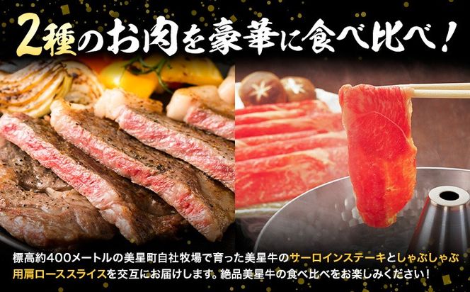 【12ヶ月定期便】美星牛 お肉の定期便 サーロインステーキ 肩ローススライス しゃぶしゃぶ用 ハレノヒ良品《お申込み月の翌月から発送》 岡山県 浅口市 肉 和牛 国産 牛肉 サーロイン 牛ロース しゃぶしゃぶ---124_f399tei_90d_23_304000_mo12num1---