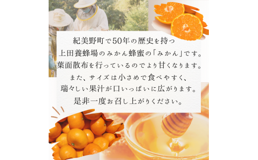 【ご家庭用】数量限定 和歌山県産 みかん蜂蜜養蜂家さんが作ったみかん。S,SSサイズ混合 9.8kg 【2024年11月下旬～12月末までに順次発送】/ みかん ミカン 温州みかん 紀美野町 和歌山 甘い 小さい 小粒 数量限定【twn019】