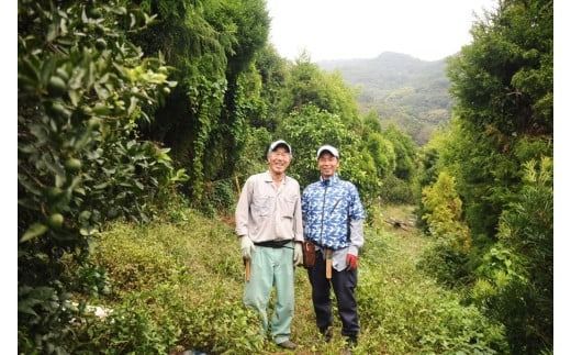 【栽培期間中農薬不使用】【先行受付】【数量限定】農園直送！愛媛県産 はっさく 10kg （2026年2月下旬頃より順次発送） IKTG024