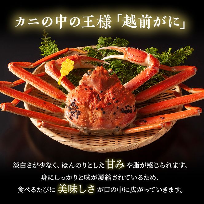 かに 訳あり 期間限定 茹で 越前ガニ 約600g～700g未満1杯 ボイルカニ ボイル 魚介類