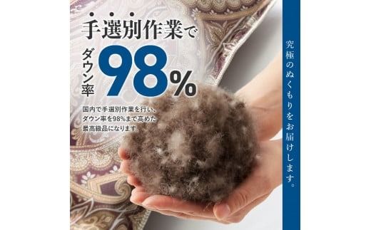 【甲州羽毛ふとん】肌掛シルクプリント手選別アイダーダウン（シングル～キング）※サイズと色味が選べる  寝具 超高級 羽毛布団 シルク 掛けふとん 山梨 富士吉田