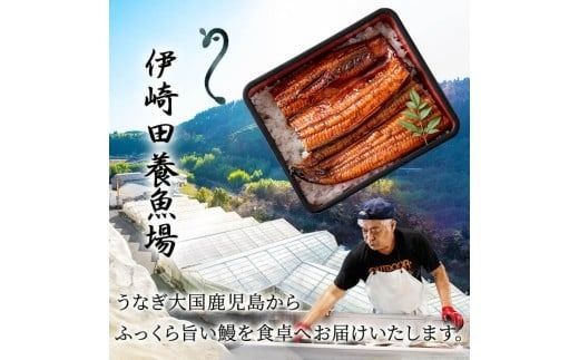 鹿児島県産 伊崎田のうなぎ蒲焼刻みうなぎ 50g×15袋(計750g) b7-027