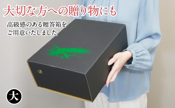 ＜26年発送＞シャインマスカット（1房）と桃（3～4個）の詰め合わせ（大） 126-022-26y