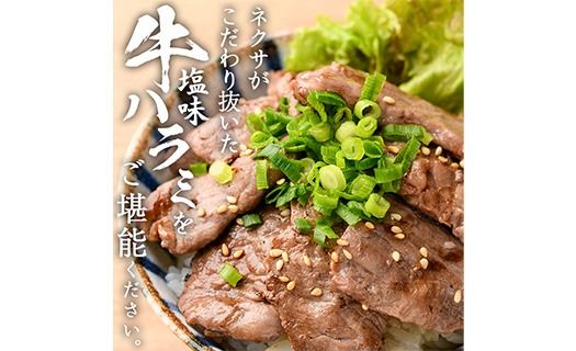 ＜定期便・全12回 (毎月の発送)＞塩味 牛ハラミ(総量7.2kg) 定期便 小分け 牛肉 肉 ハラミ 牛はらみ 味付け 焼肉 塩 BBQ 冷凍 大分県 佐伯市【DH326】【ネクサ】