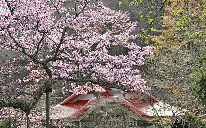 北海道厚岸町 寄附のみの応援受付 3,000円コース（返礼品なし 寄附のみ 3000円） 支援 自治体支援 