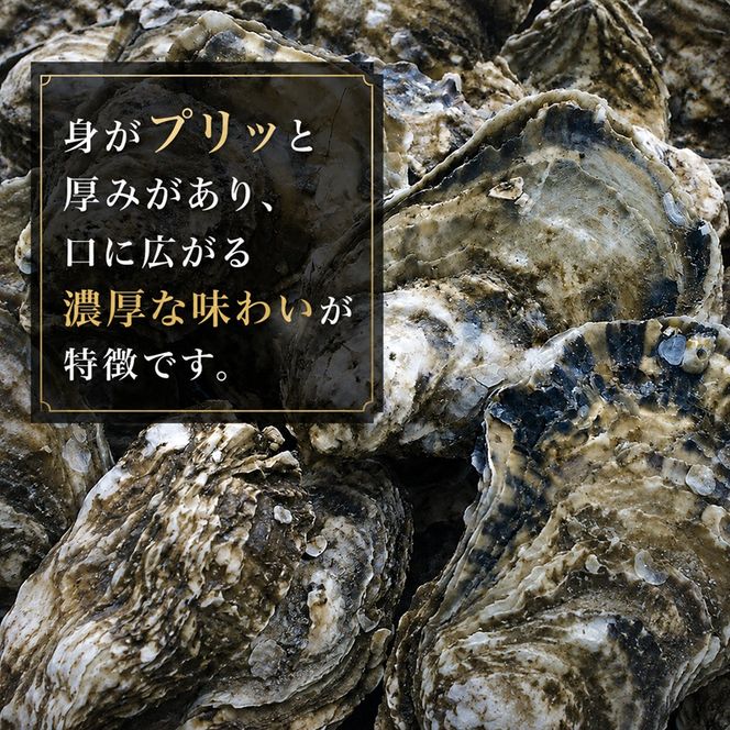 【厚岸漁協直売店特製】 かきガンガン焼 Ｍセット20個  北海道 牡蠣 カキ かき  生牡蠣 殻付  魚介類 マルえもん