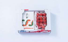 【2025年12月より順次発送】あまおう1パック(約250g～)＆ふくや味の明太子290g【南国フルーツ株式会社】_HA1902
