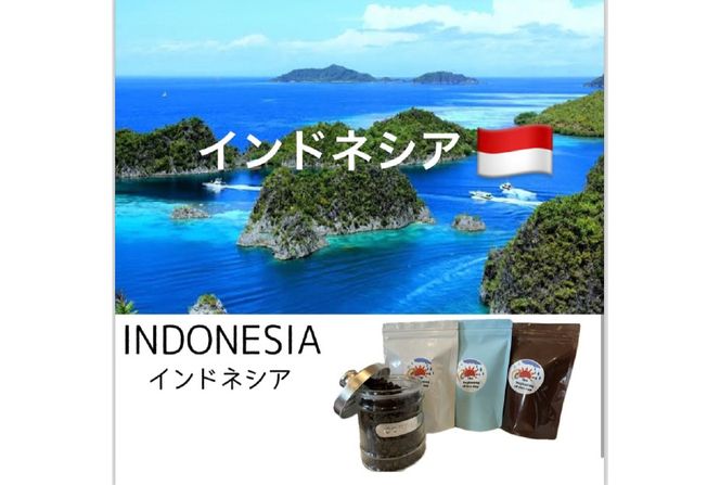 コーヒー豆 3ヶ月 定期便 100g×3 [いち日のはじまり 福岡県 筑紫野市 21761225] コーヒー 珈琲豆 珈琲 豆