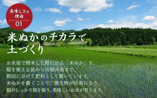 ＜全12回定期便＞ 真庭市産コシヒカリ 米ぬか 牡蠣栽培米 『 一心良米 』 白米 10kg (5kg×2袋）×12回 令和7年産 / お米 いっしんりょうまい 岡山県 こしひかり 人気 ブランド2025年産 【tkns-tkb035-cho】