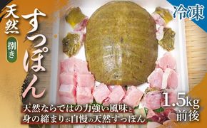 【ご家庭で手軽にすっぽん料理】天然すっぽん（捌き）1.5kg前後 すっぽん 天然すっぽん 産地直送 すっぽん料理 すっぽん鍋 滋養強壮 贈答用 ギフト 浜坂産 兵庫県
