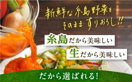 ＼ 1週間以内に発送 ／ 糸島野菜を食べる 生ドレッシング 3種セット ( 玉葱 / 人参 / 大根と大葉 ) 糸島市 / 糸島正キ ドレッシング ギフト [AQA008]