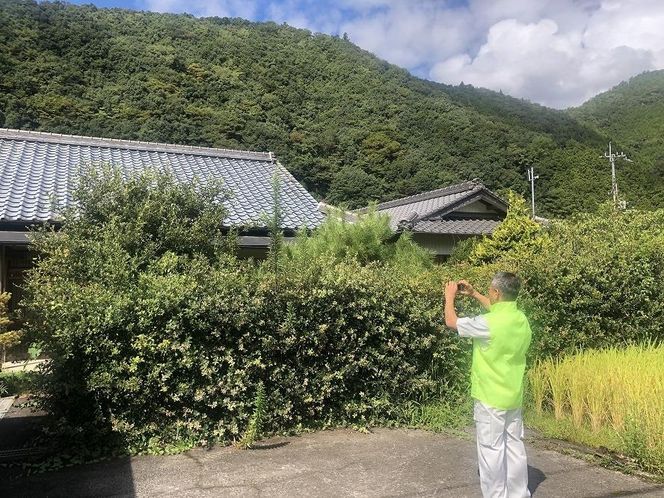 有田川町シルバー人材センターによる空き家見回りサービス  	DZ001