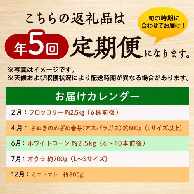 野菜セット 定期便 全5回 香川県産 さぬきのめざめ アスパラガス アスパラ ブロッコリー ホワイトコーン とうもろこし オクラ ミニトマト トマト 約2.5kg 約800g 約700g 旬 旬の野菜 野菜 国産 詰め合わせ 五色青果 香川県 東かがわ市