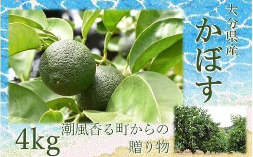 【令和8年9月初旬から発送】潮風香る町の贈り物 大分県産かぼす4kg_1816R