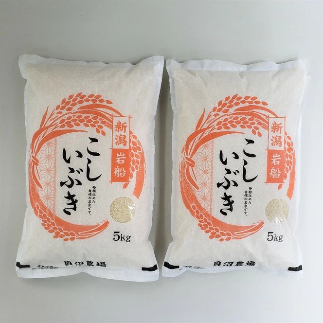 【令和7年産米】 こしいぶき 白米10kg（5kg×2） 新潟県村上市岩船産　1067103