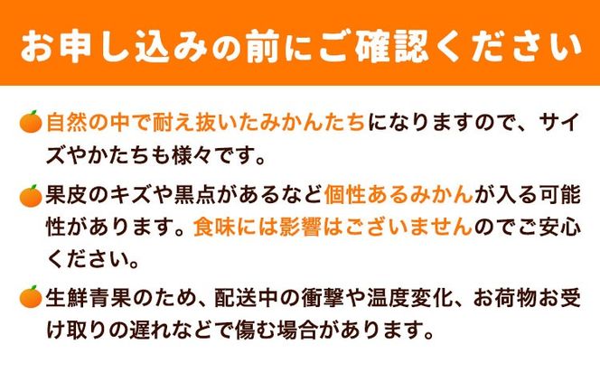 完熟みかん 約10kg サイズおまかせ どの坂果樹園《12月上旬-2027年2月上旬頃出荷予定》和歌山県 日高町 みかん 早生 旬 柑橘 フルーツ 果物 蜜柑 ミカン---wsh_dsk53_12j2j_25_18000_10kg---
