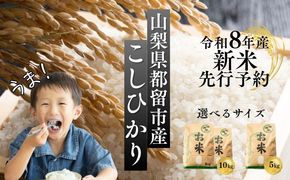 【令和8年産先行予約】山梨県都留市産こしひかり 選べる容量[5kg・10kg] FB038.FB039