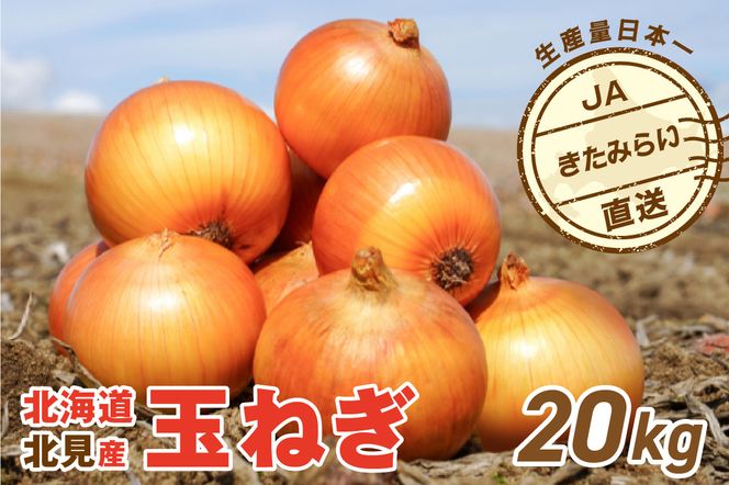 【予約：2027年4月～6月発送】JAきたみらい産 玉ねぎ Lサイズ 20kg 冷蔵 ( タマネギ たまねぎ 野菜 )【210-0006】